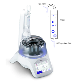 Izon system for automated EV isolation and concentration